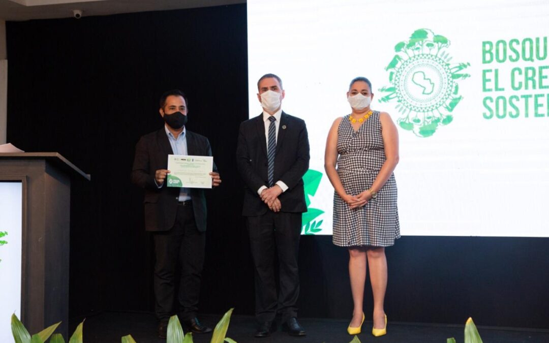 MADES presenta los resultados del Proyecto Bosques para el Crecimiento Sostenible