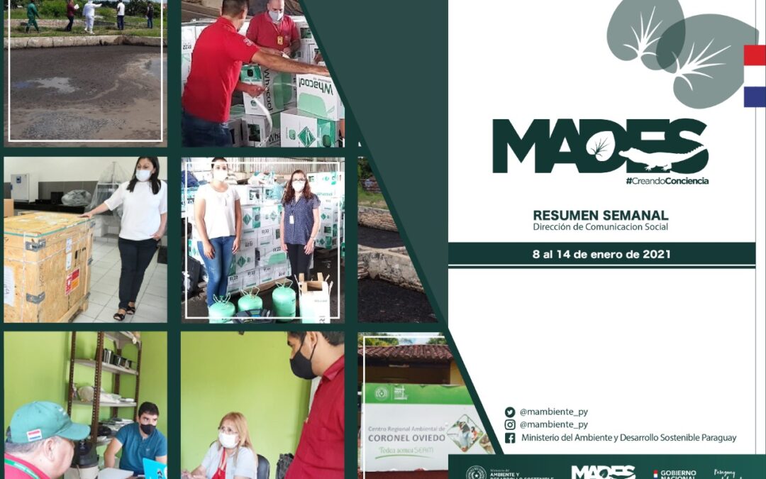 Resumen Informativo Semanal del MADES