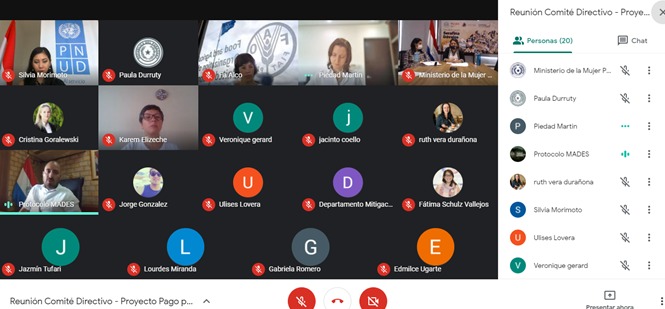 Primera reunión del Consejo Directivo del Proyecto Pago por Resultados REDD+