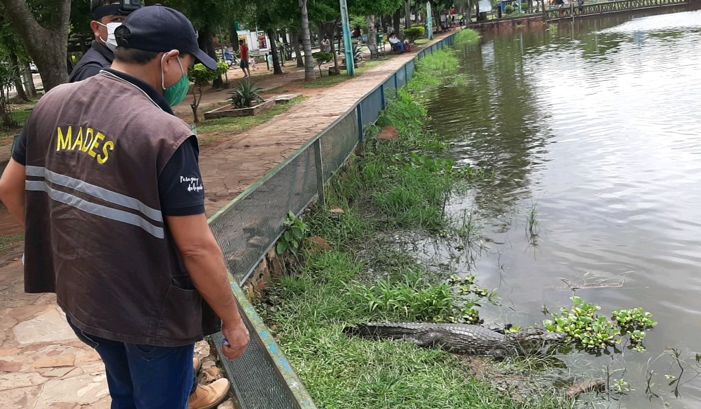 Municipalidad de Itá fue intervenida por manejo irregular de animales silvestres