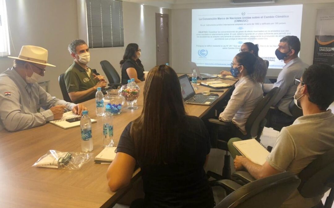 Reunión técnica para el intercambio y recolección de insumos en el marco de la actualización de la NDC