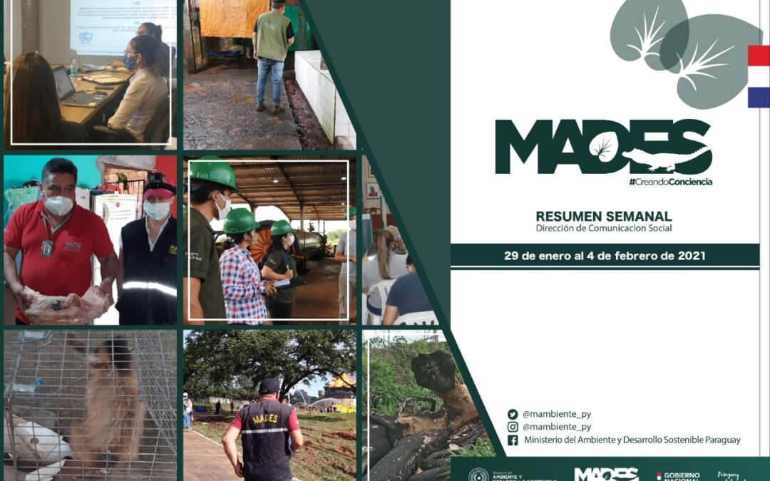 Resumen Informativo Semanal del MADES