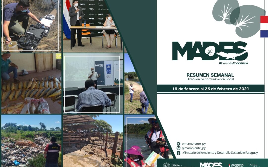 Resumen Informativo Semanal