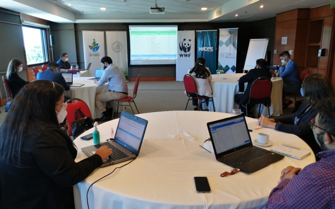 El MADES participa en la construcción de un Plan Estratégico de la Alianza Público – Privada