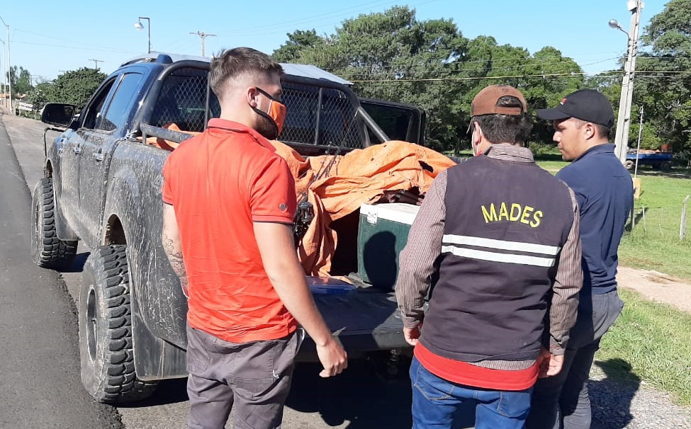 En controles decomisan pescados sin medidas reglamentarias y redes de monofilamento