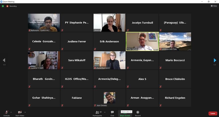 MADES  participó en la “Consulta con las partes interesadas sobre el uso de la tierra, cambio de uso de la tierra y silvicultura»