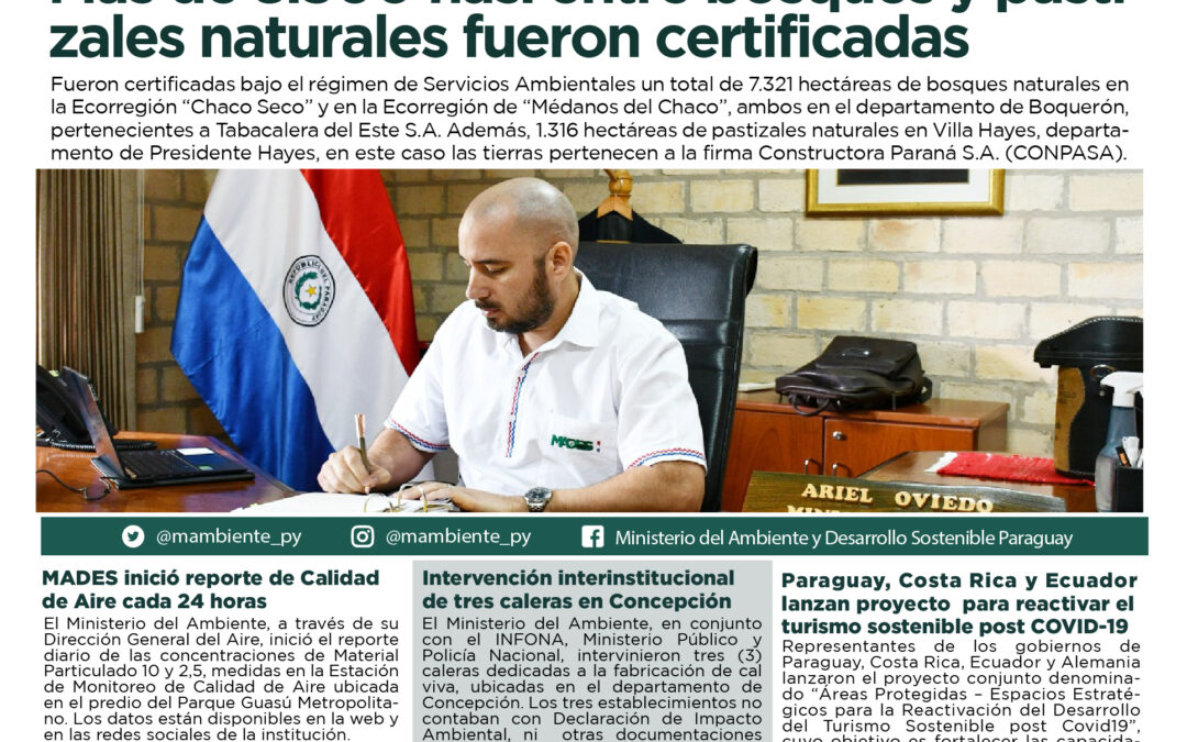 Resumen informativo semanal