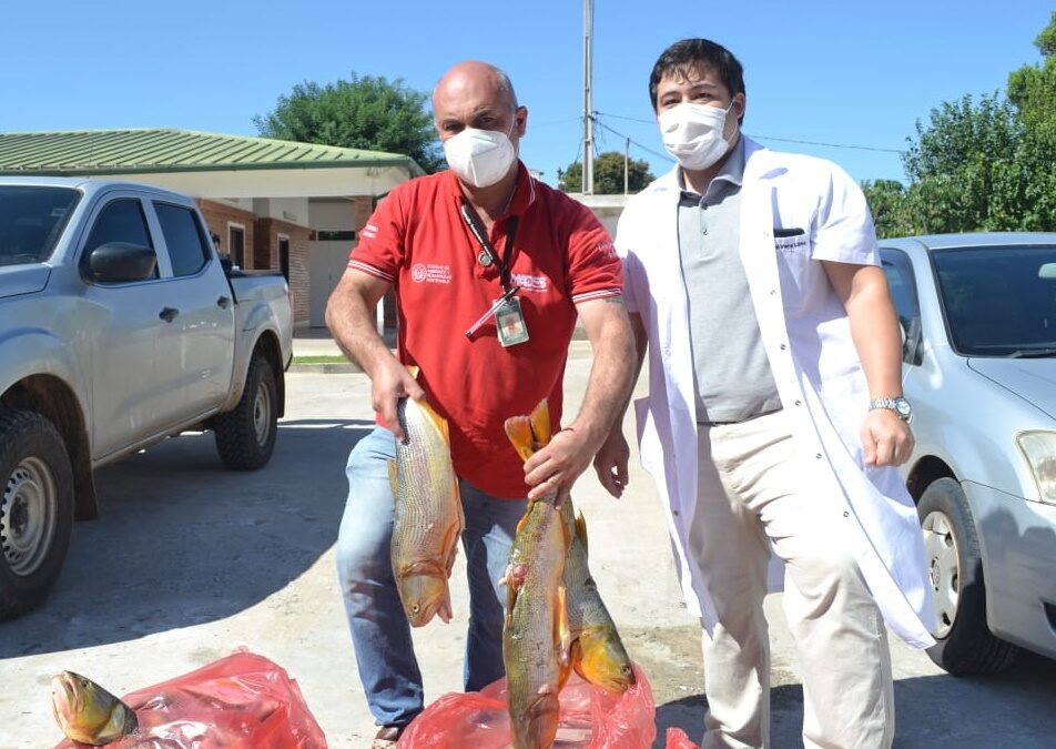 Pescados fueron decomisados y posteriormente donados al Hospital Regional de Pilar
