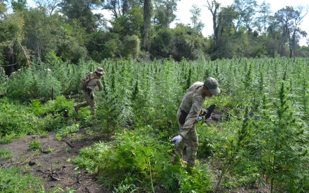 Explosivistas destruyen pistas del narcotráfico