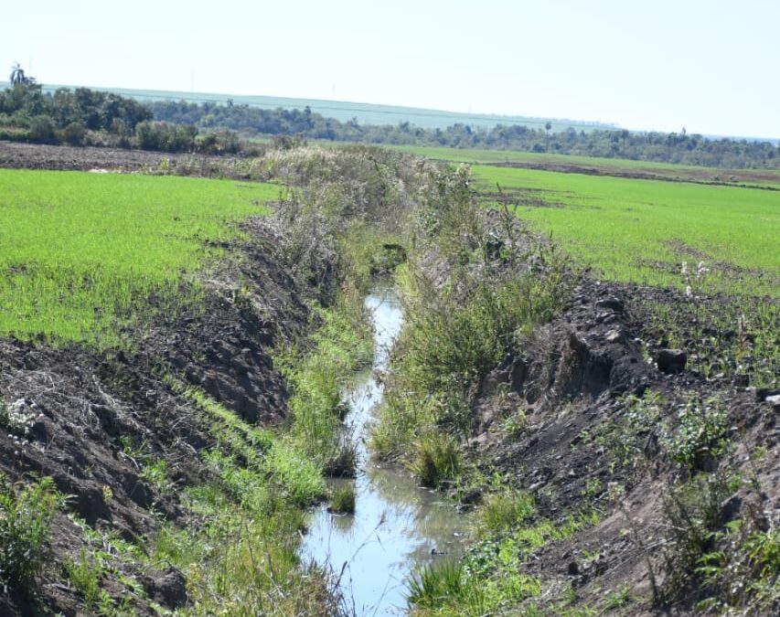 Luz verde a operativo de verificación de documentaciones ambientales en Canindeyú