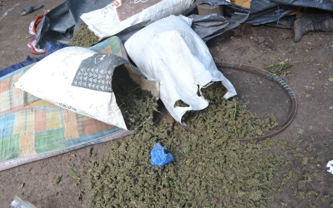 Operativo sin tregua en la lucha contra el narcotráfico y protección del medio ambiente