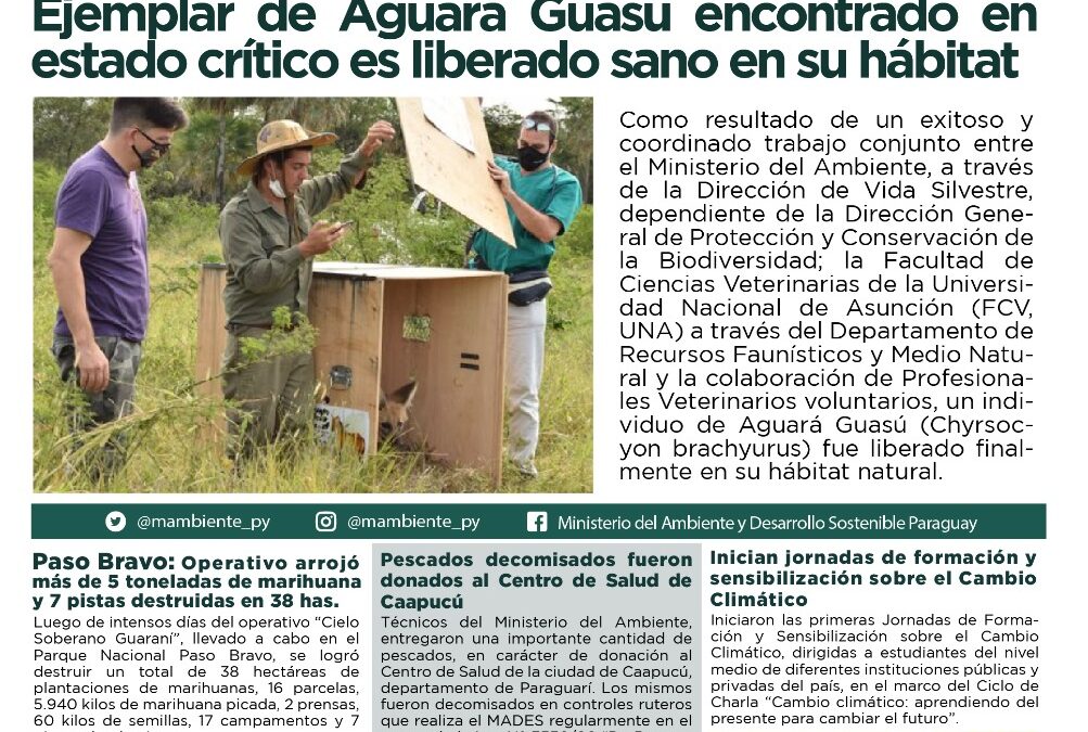 Resumen informativo semanal