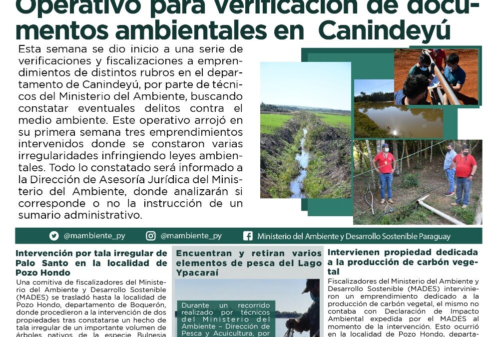 Resumen informativo semanal