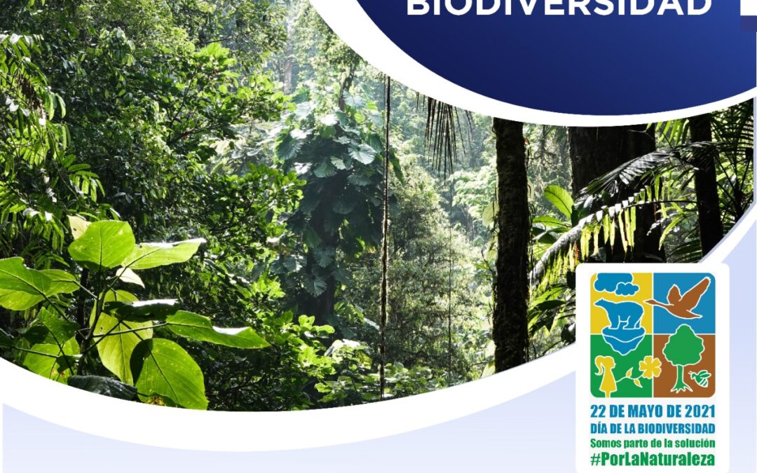 Día Internacional de la Biodiversidad: Somos parte de la solución
