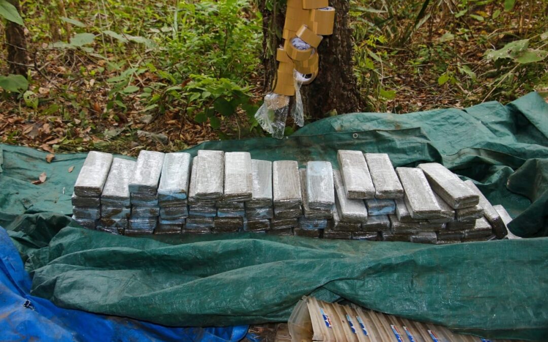 MADES: Encuentran y destruyen campamento de drogas dentro del Parque Nacional Paso Bravo