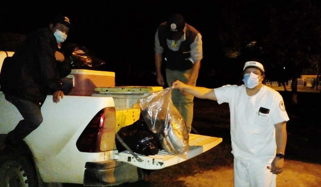Pescados decomisados fueron donados al Centro de Salud de Caapucú