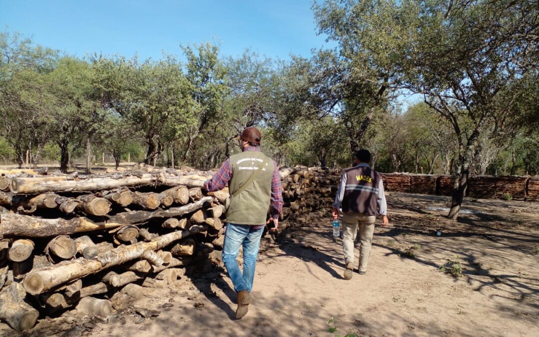 Intervención por tala irregular de Palo Santo en la localidad de Pozo Hondo