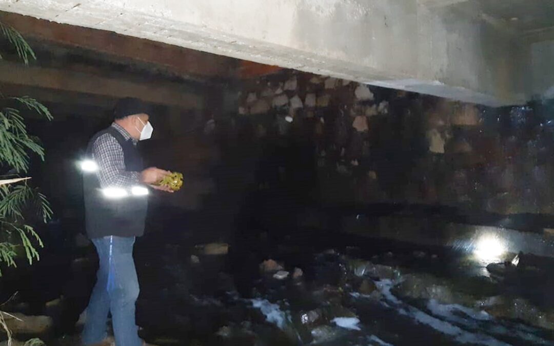 Cañada del Carmen: MADES interviene a empresa frigorífica