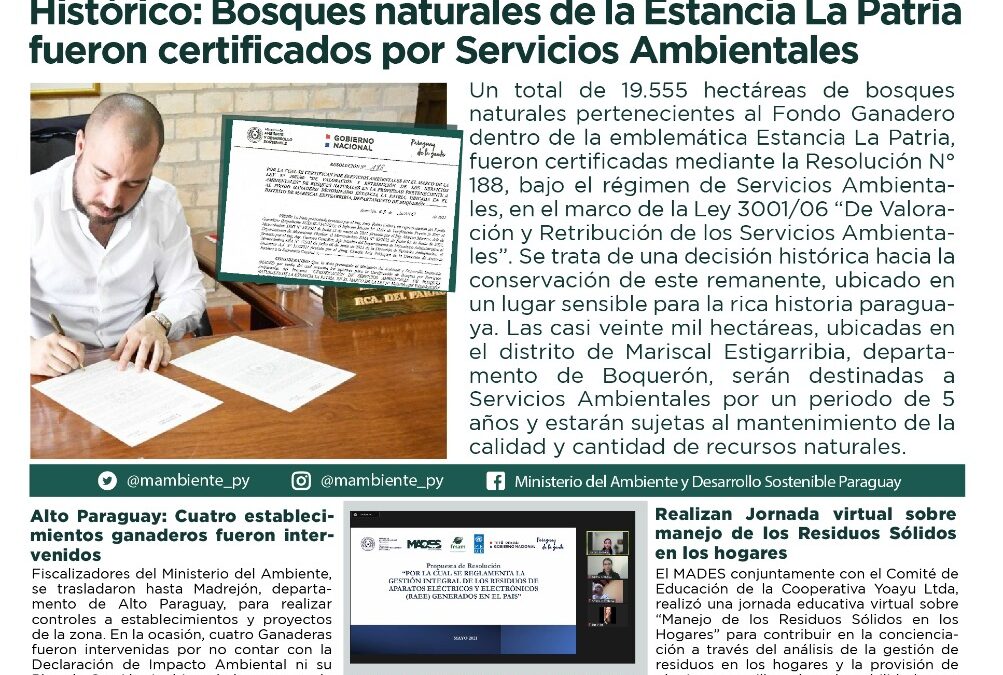 Resumen informativo semanal