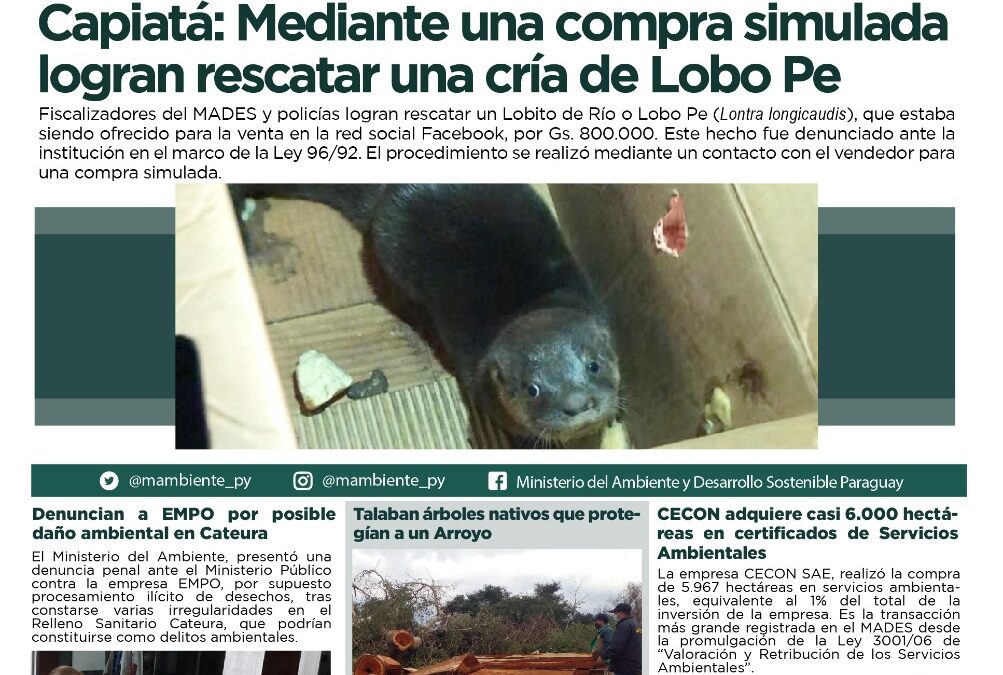 Resumen informativo semanal