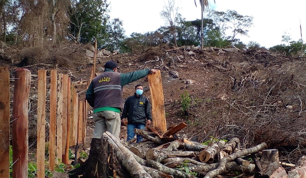Ybycuí: Intervención por un hecho de tala y quema de árboles nativos