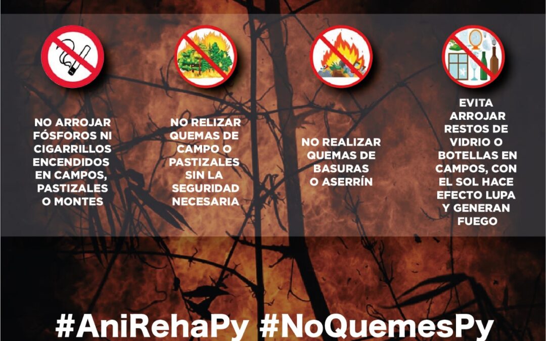 Roles institucionales y de la ciudadanía para evitar aumento de focos de incendios en el país