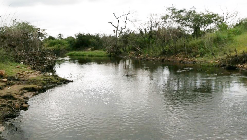 Lago Ypacaraí: Resultados de estudios de afluentes