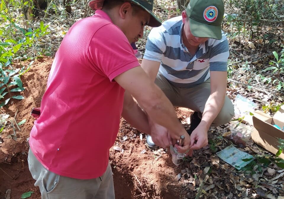 Prosigue muestreo de suelo de los parques nacionales para analizar contenido de carbono