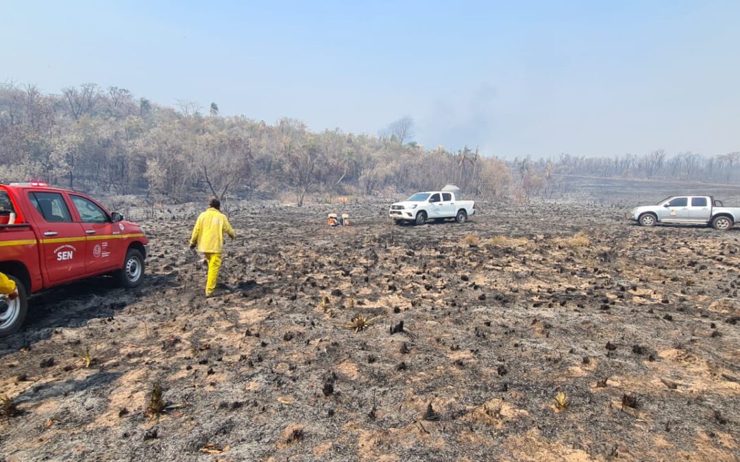 Situación de las Áreas Silvestres ante los incendios