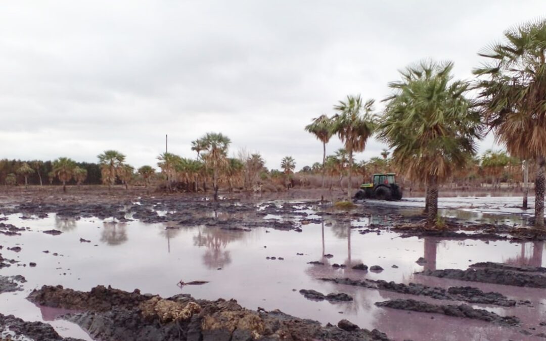 Intervienen empresa procesadora de Paraguarí