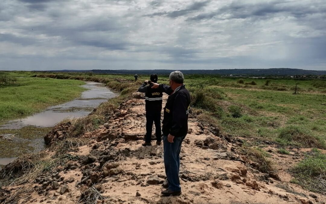 Constatan canalización que afecta a los humedales del Lago Ypacaraí