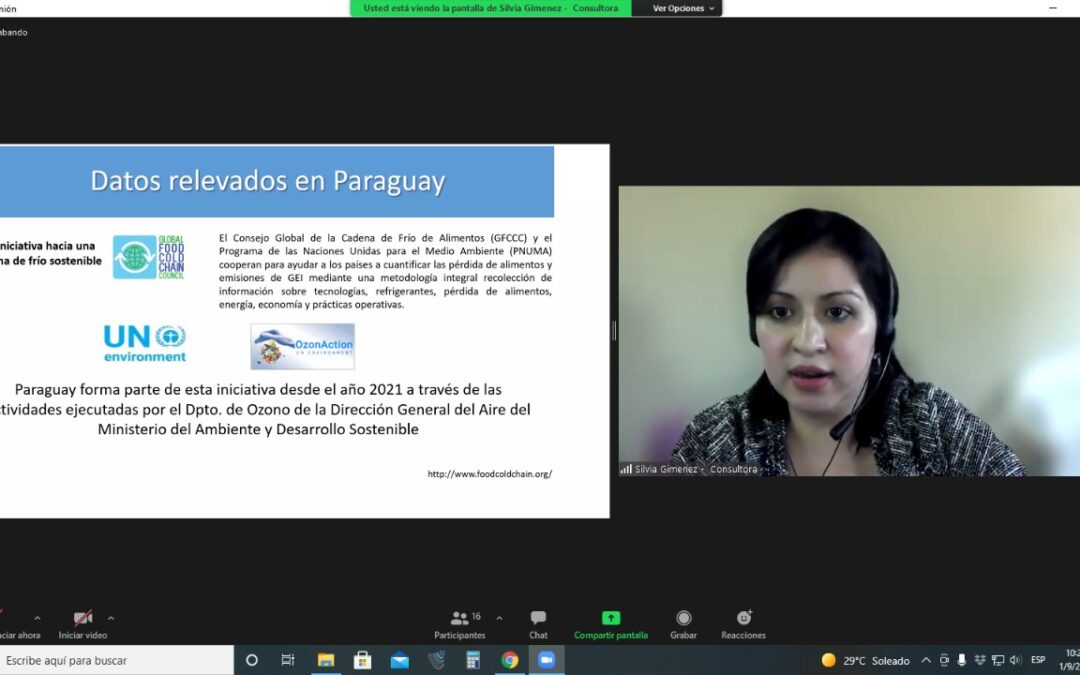 Seminario virtual Cadena de Frío Sector Alimentos Paraguay