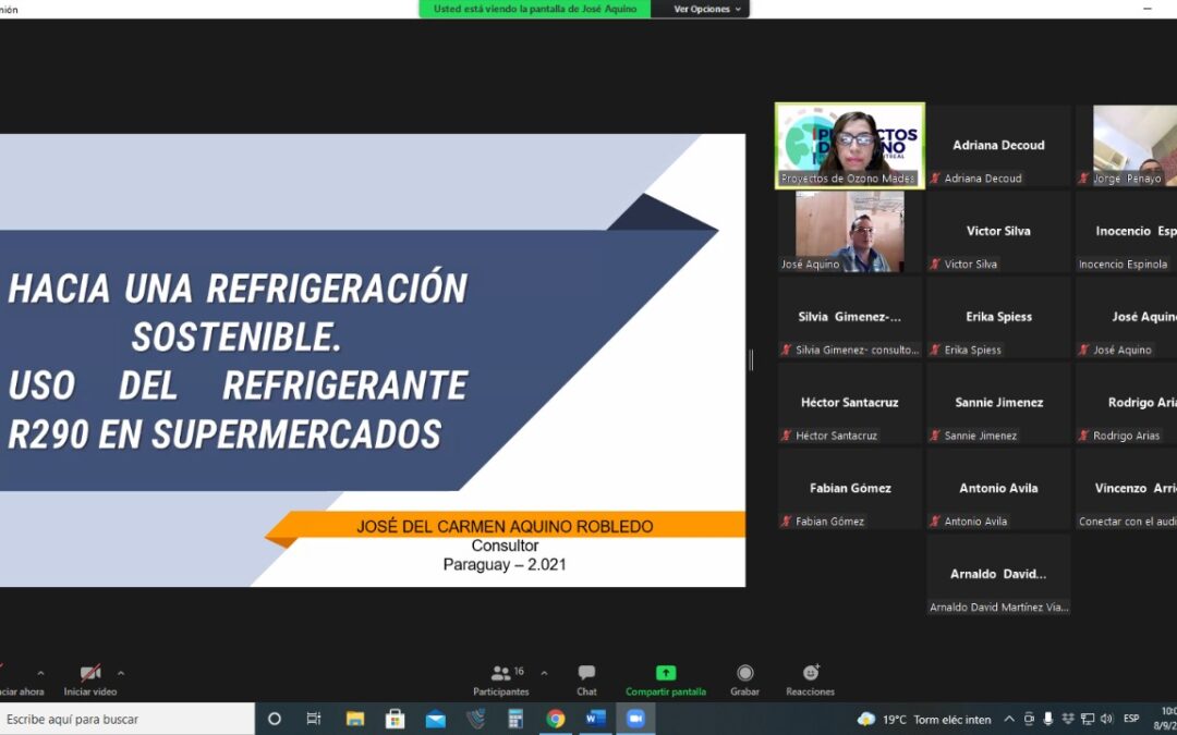 Uso del refrigerante R290 en supermercados, avanzando a una refrigeración sostenible