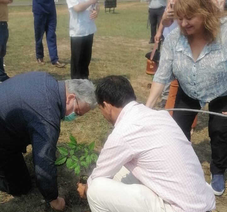 Inauguran Memorial Verde para recordar a personal sanitario víctima de Covid-19