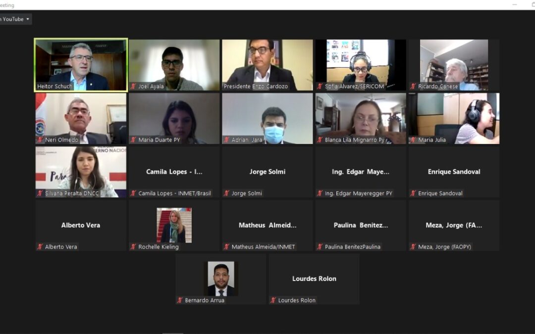 MADES participó de Seminario Virtual sobre Cambio Climático