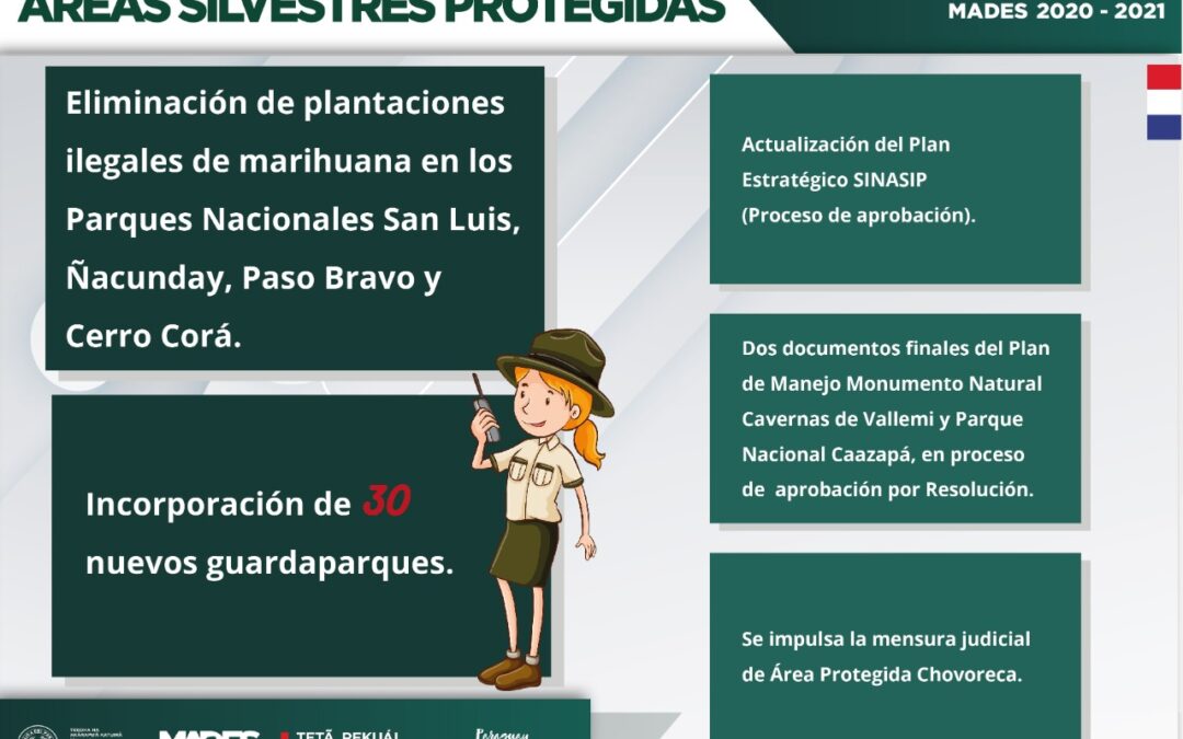 GestiónMADES: Lucha frontal contra las plantaciones ilegales en los parques y más guardaparques para resguardo de áreas protegidas