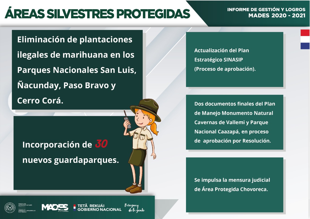 GestiónMADES: Lucha frontal contra las plantaciones ilegales en los parques y más guardaparques para resguardo de áreas protegidas