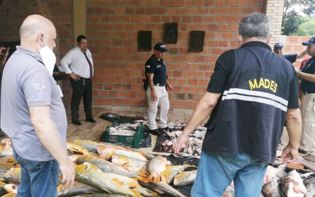 Capiatá: Intervención por traslado irregular de pescados
