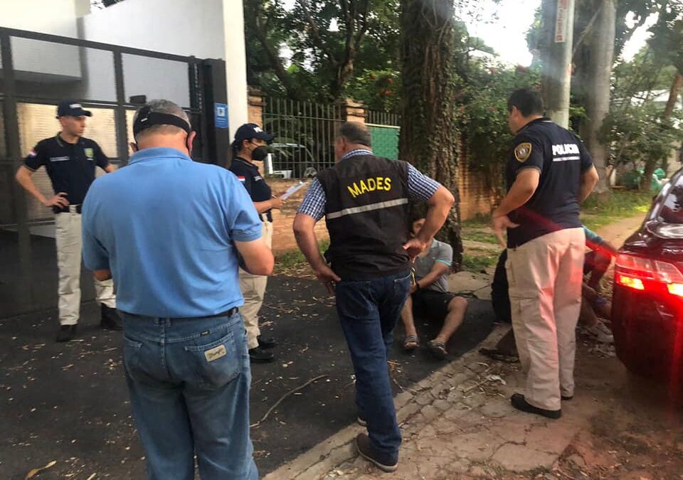 Multa de 10.000 jornales mínimos a supuestos responsables del comercio ilegal de Guacamayo Azul