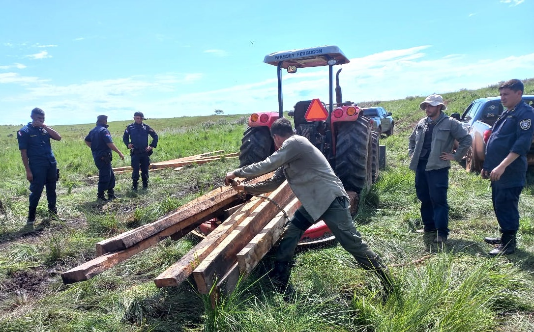 Intervención por tala indiscriminada de árboles en zona de la Reserva San Rafael