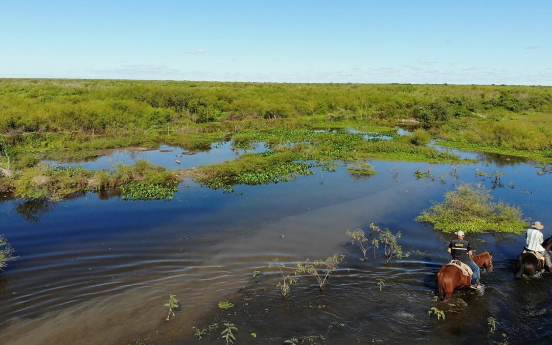 Fiscalizan escurrimiento de las aguas provenientes del río Pilcomayo