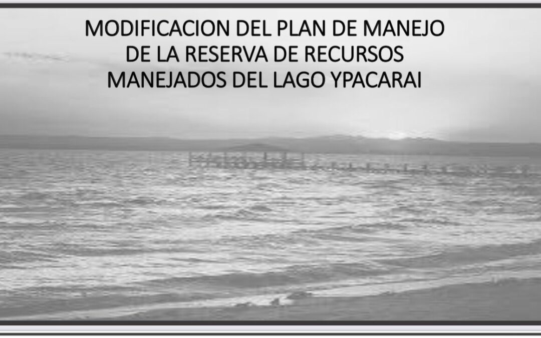 Documento Base para la propuesta de actualización de la zonificación del Plan de Manejo del Lago Ypacaraí