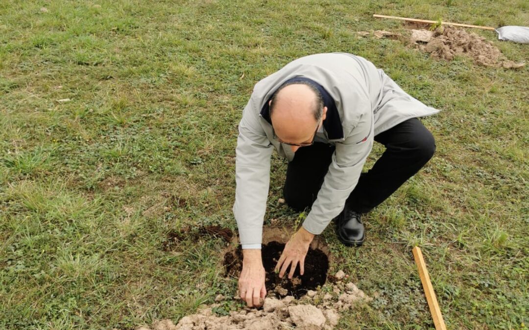 MADES participó en jornada de plantación de árboles nativos en el Parque Ñu Guazú