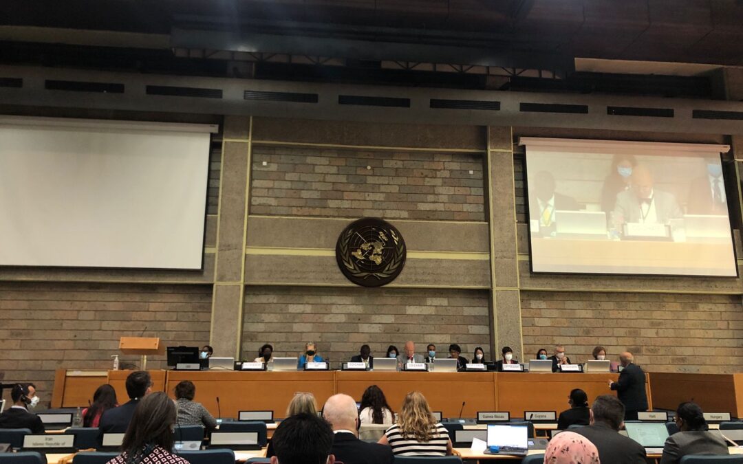 4° Reunión del Grupo de Trabajo de Composición Abierta sobre el Marco Mundial para la Diversidad Biológica Post-2020