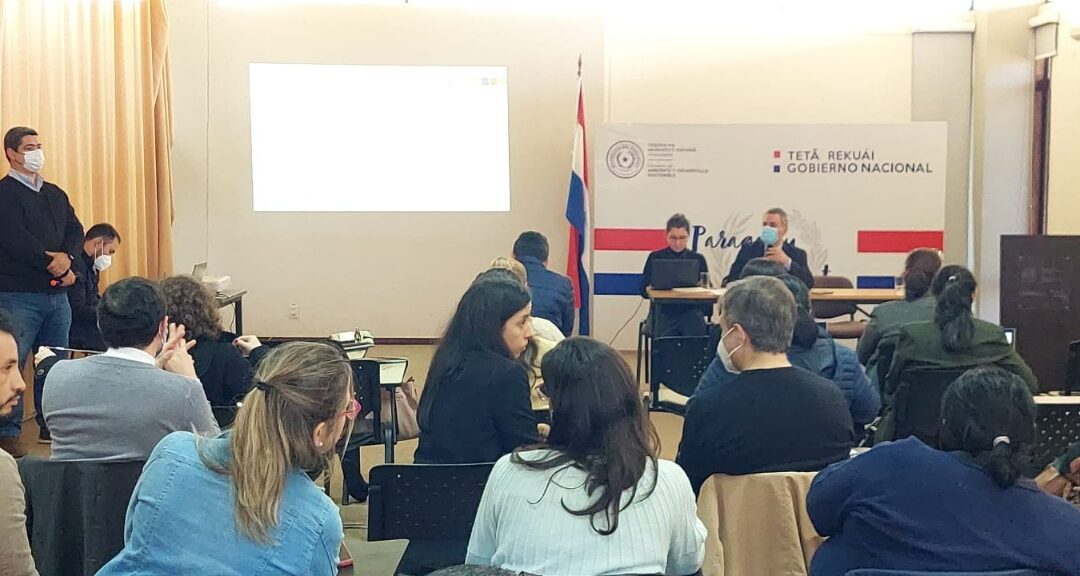 Mesa REDD+ realiza primera reunión del año