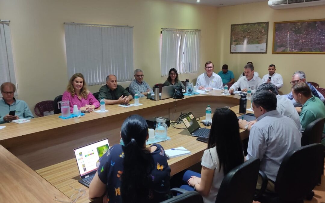 El proyecto Paraguay + Verde presenta sus actividades a la Plataforma de Commodities Sustentables de Alto Paraná