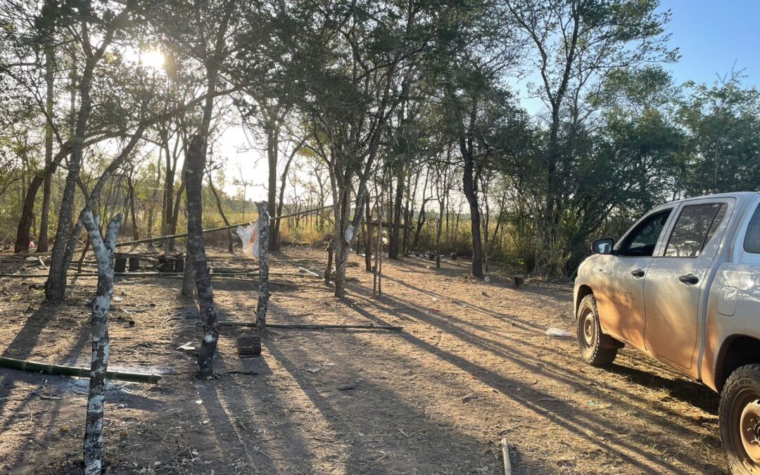 MADES rechaza amenaza de “sin tierras” de volver a invadir el Parque Nacional Paso Bravo