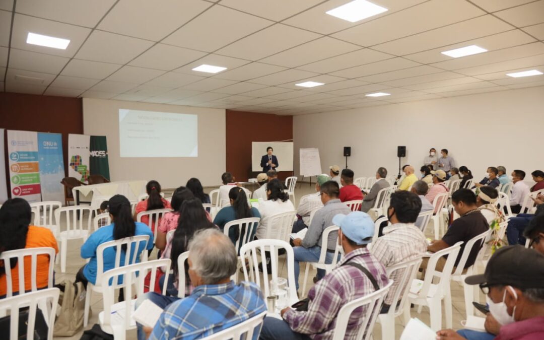 Pueblos indígenas eligen representantes para la Junta Directiva de Paraguay + Verde