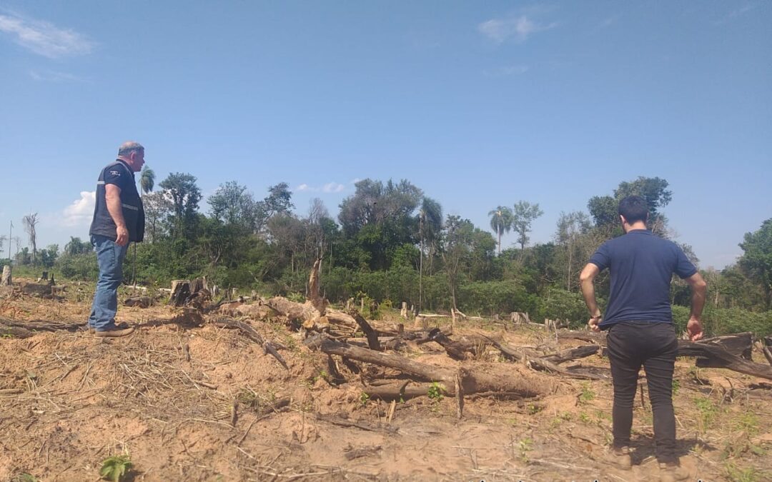 Comisión Vecinal fue intervenida por alterar condiciones naturales de la Reserva Yberá