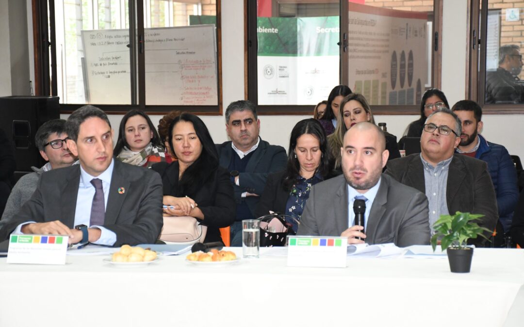 Paraguay + Verde realiza reunión extraordinaria de la Junta Directiva del Proyecto